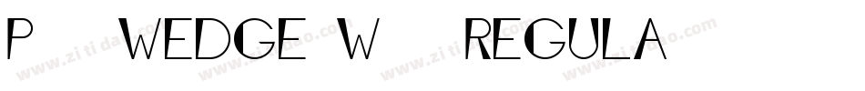 P22 Wedge W05 Regula字体转换